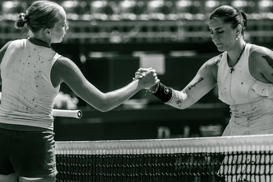 Handshake at the net after the match